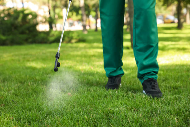 Best Local Pest Control Services  in , UT