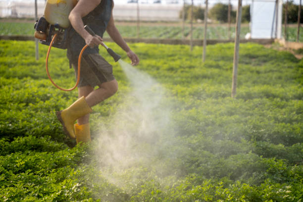 Best Wasp Removal Services  in , UT