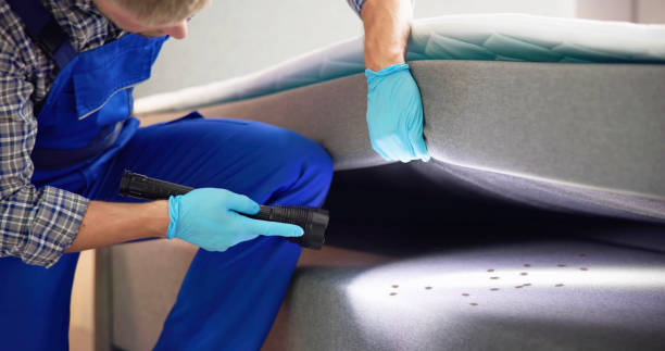 Best Pest Removal Services  in , UT