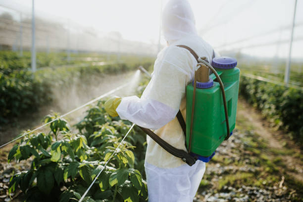 Best Bed Bug Extermination  in , UT